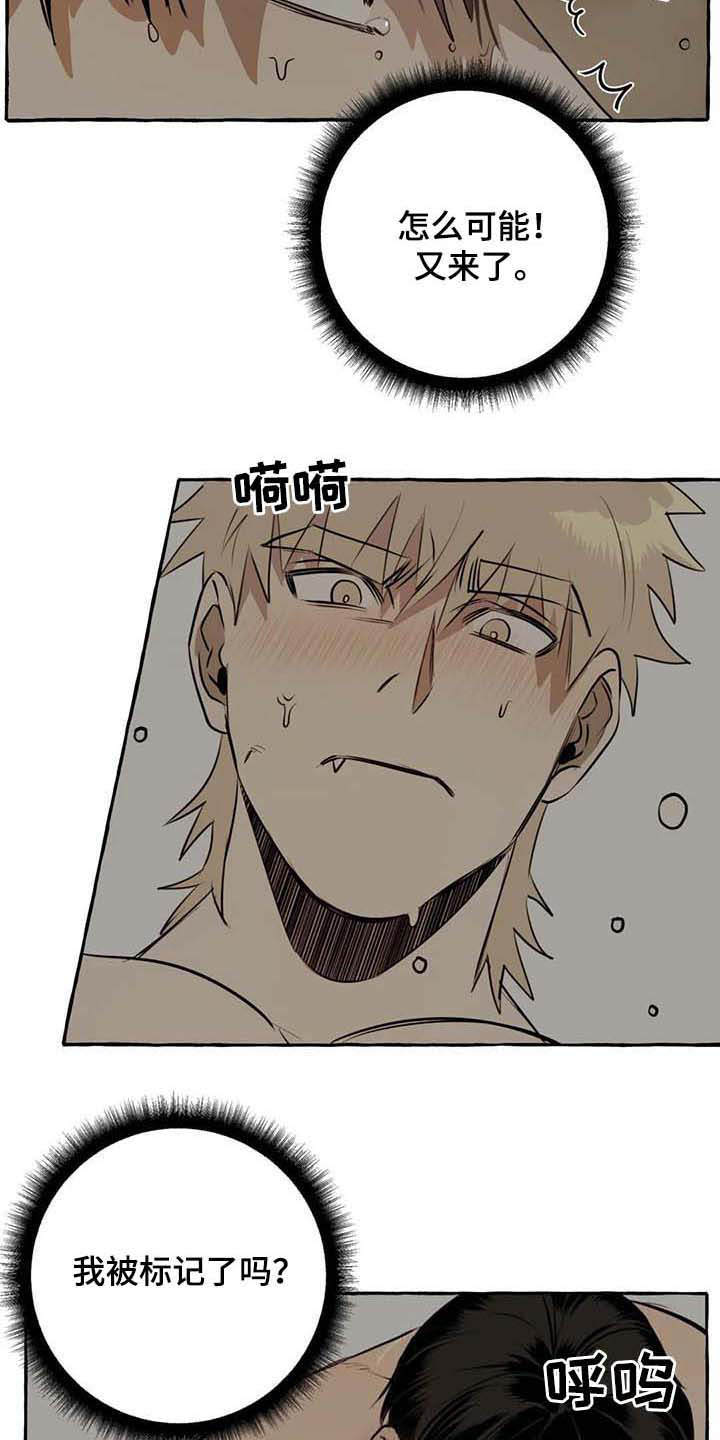 第9章：特殊感受13