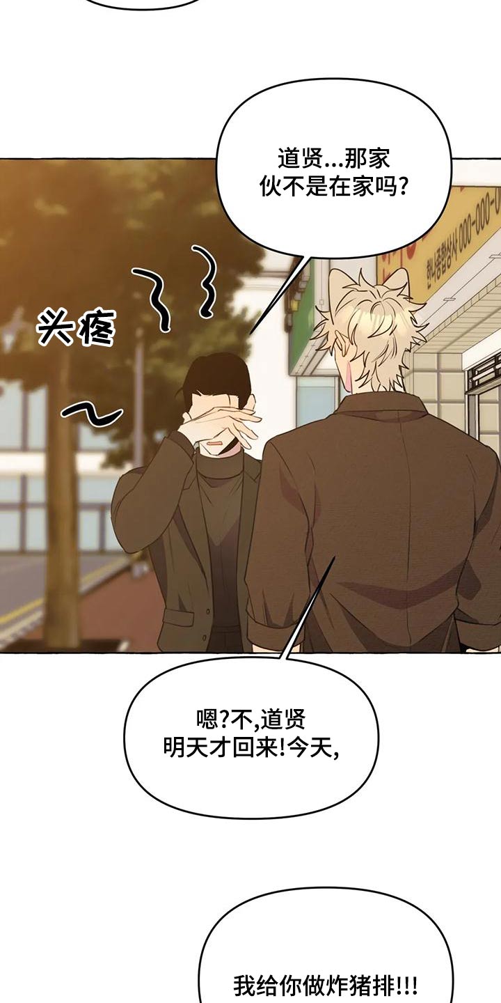 第45章：【第二季】保护13