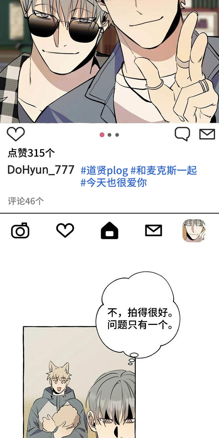 第13章：对比6