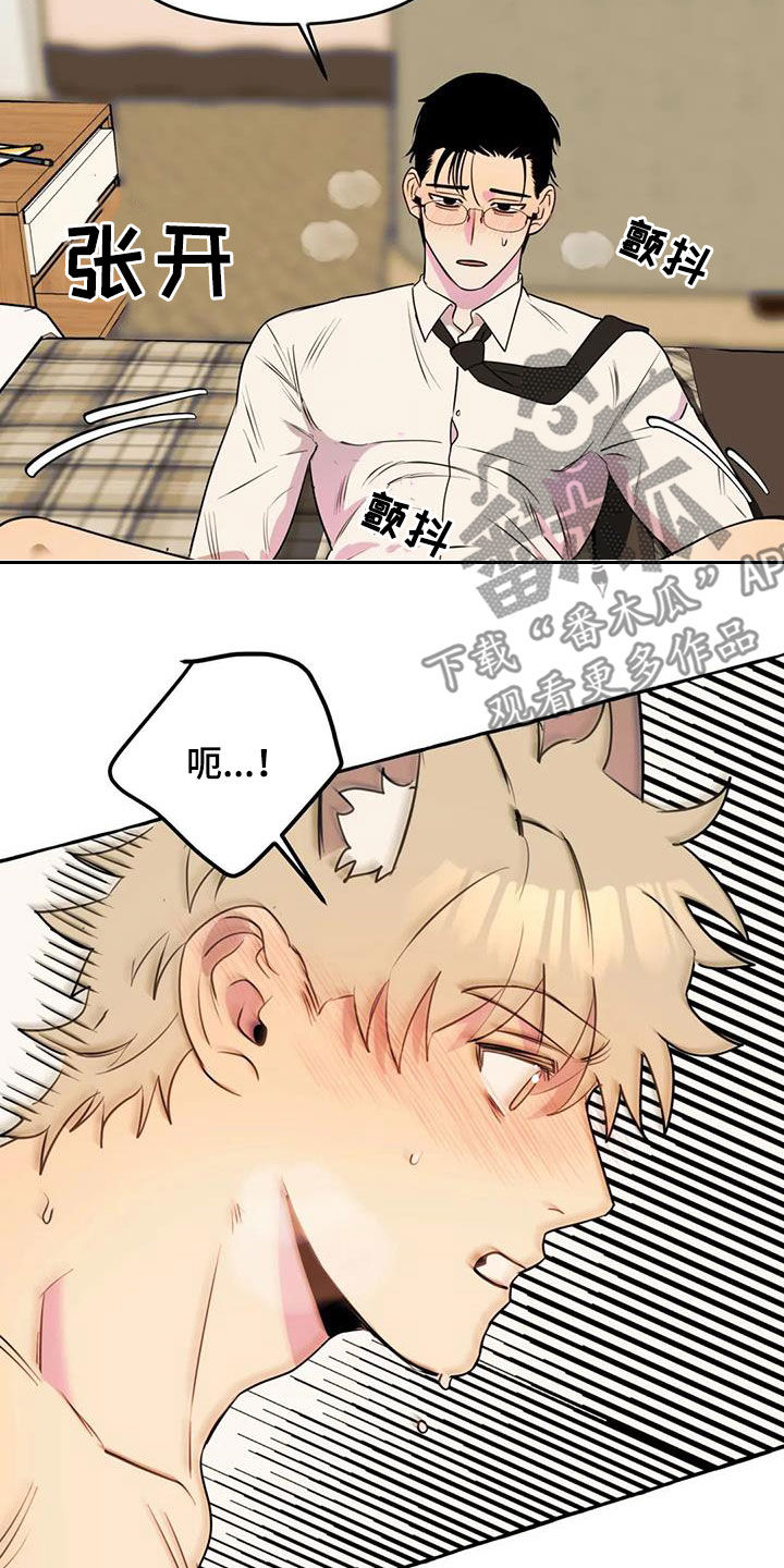 第38章：拜托7