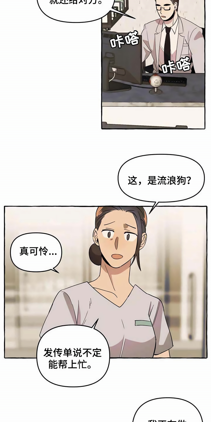 第5章：传单12