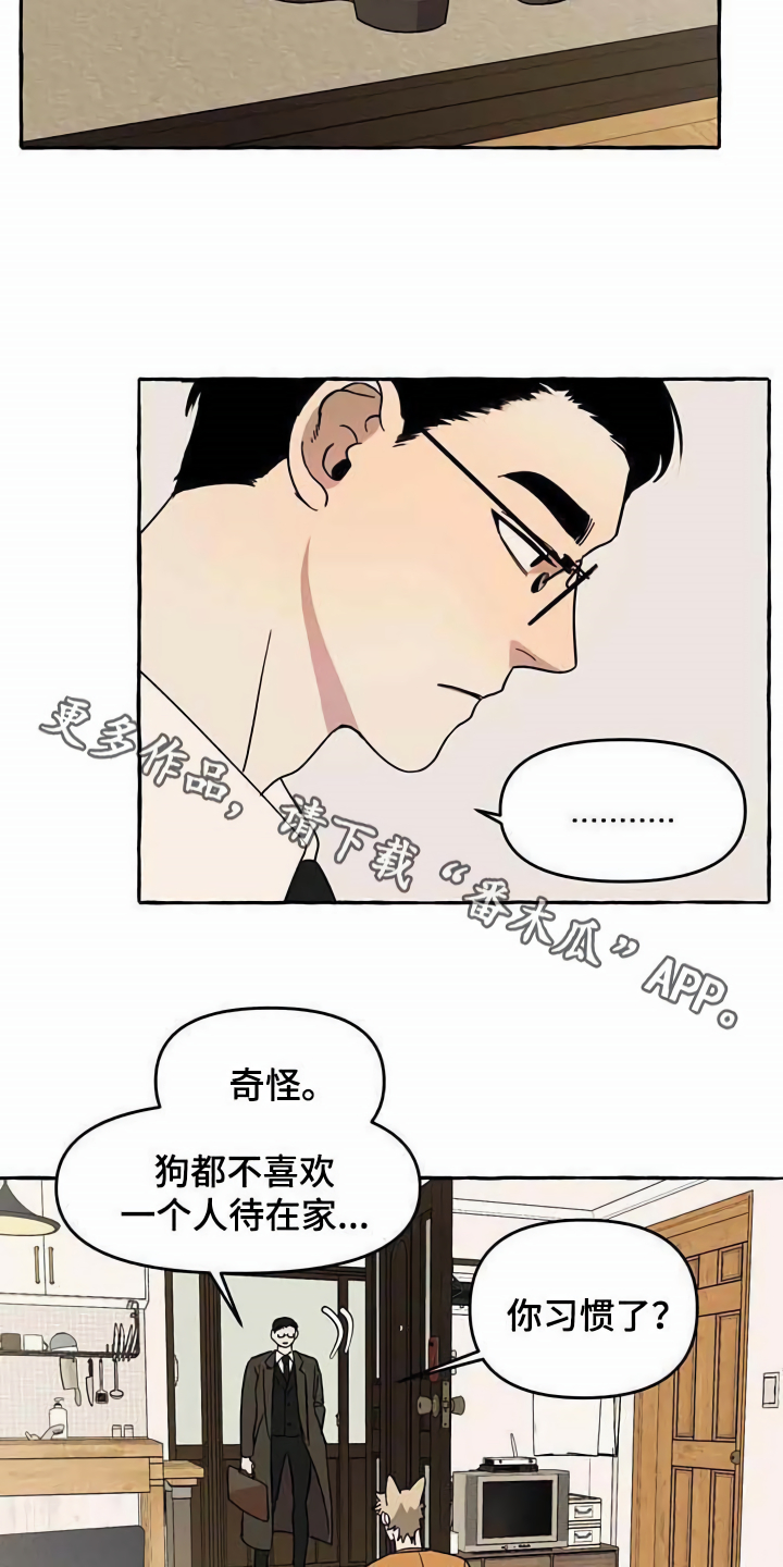 第5章：传单3