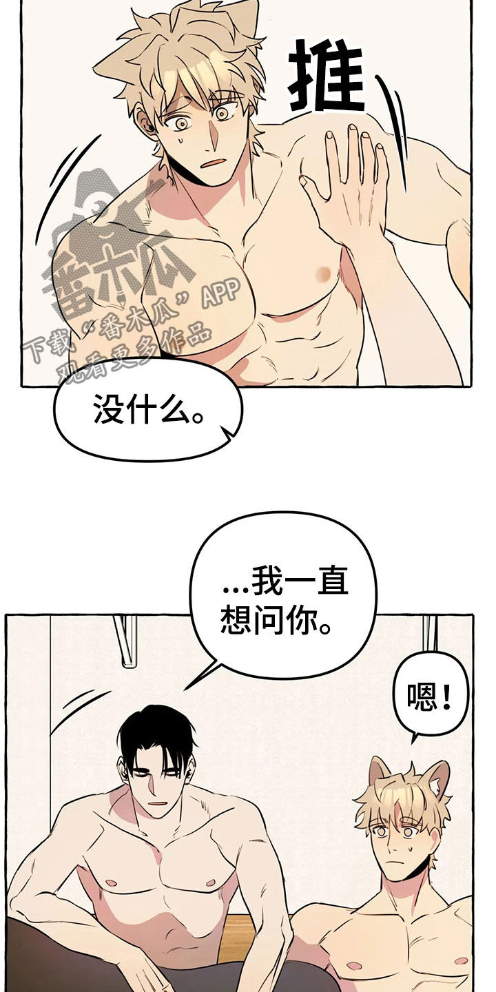 第19章：新衣服5