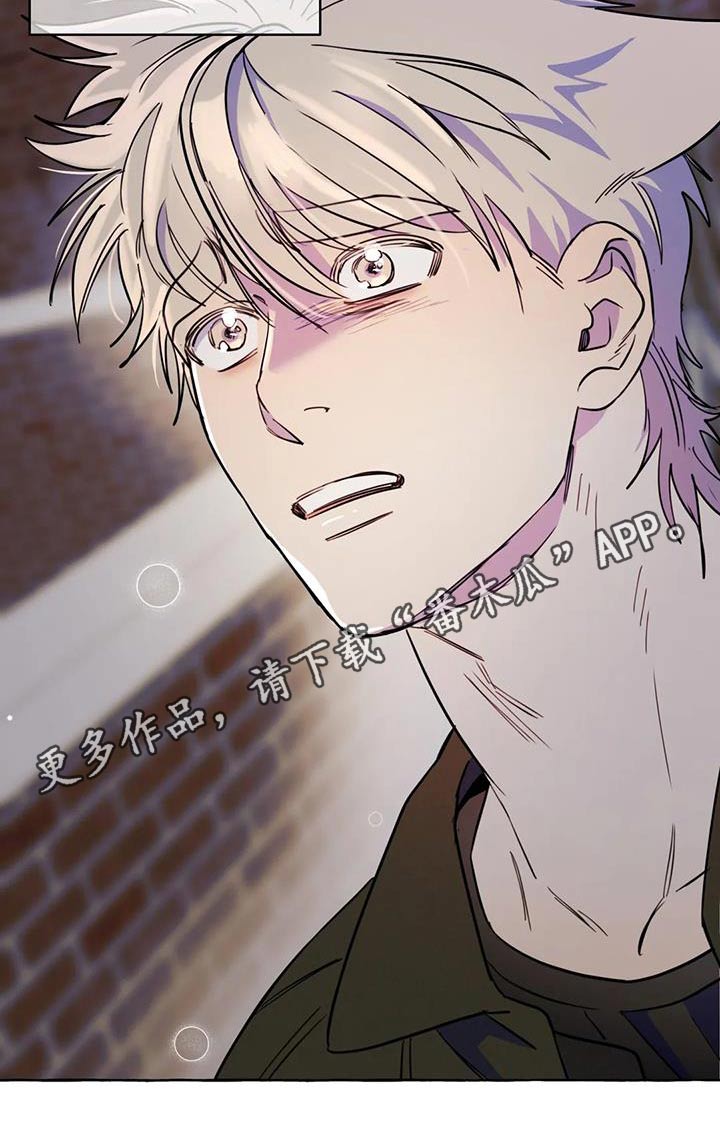 第55章：【第二季】对不起25