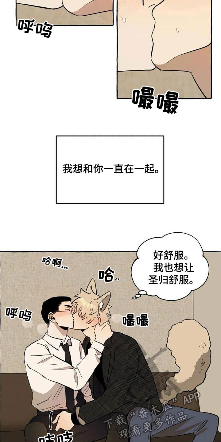 第13章：对比16