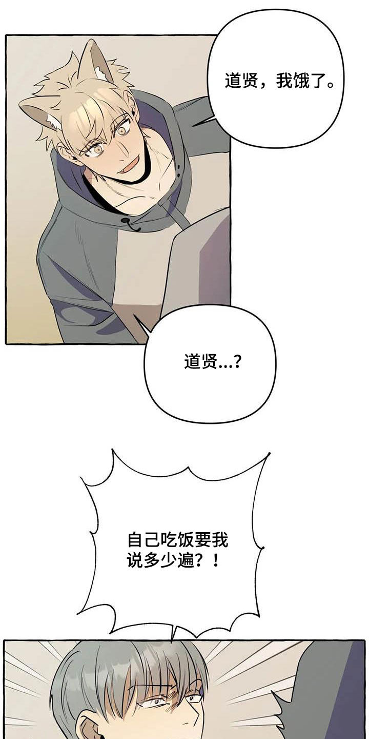 第13章：对比8