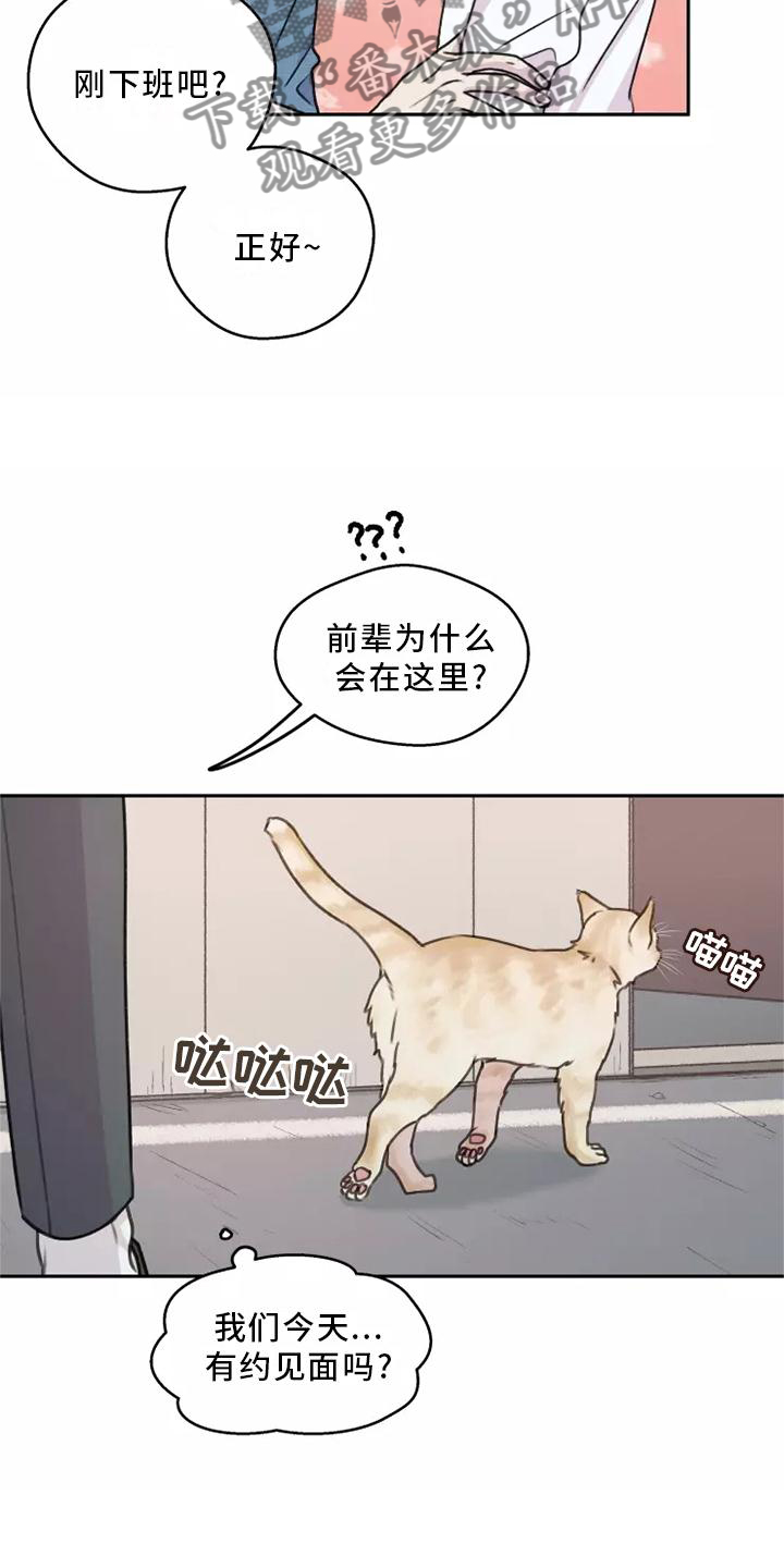 第50章：【第二季】小巷6