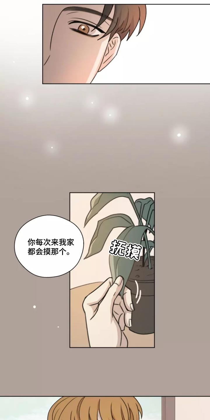 第38章：【第二季】突然拜访11