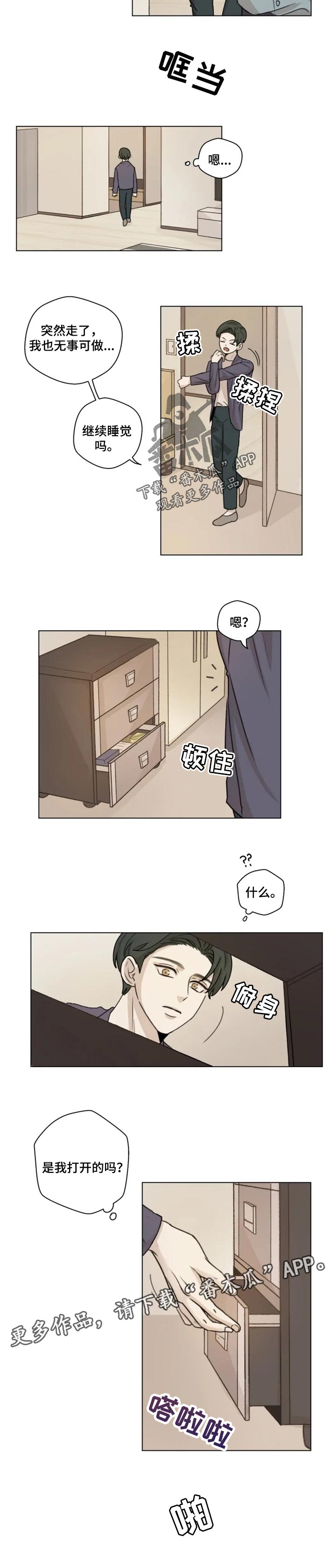 第19章：分量5