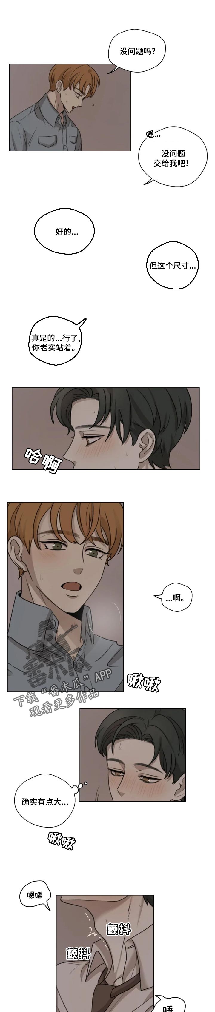 第17章：模糊的身影1