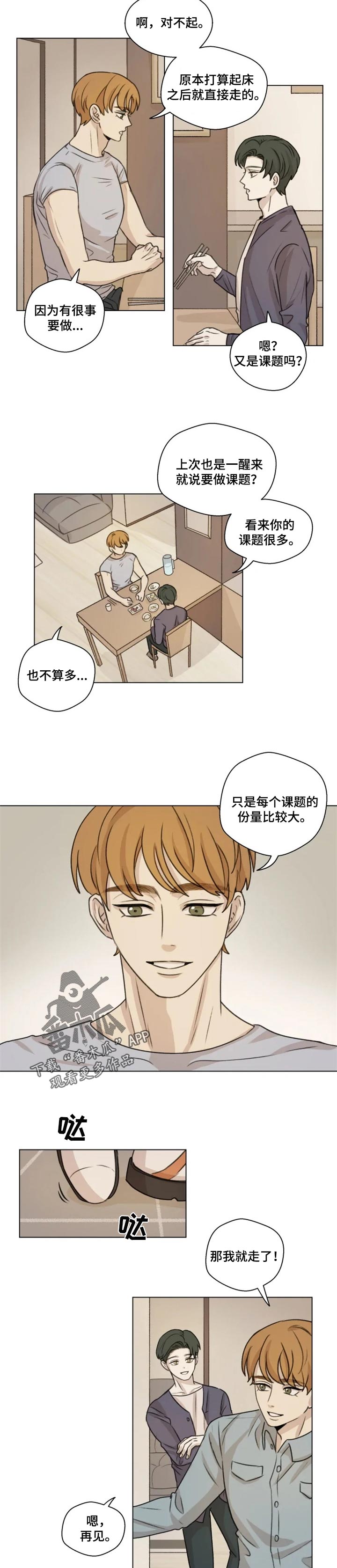 第19章：分量4