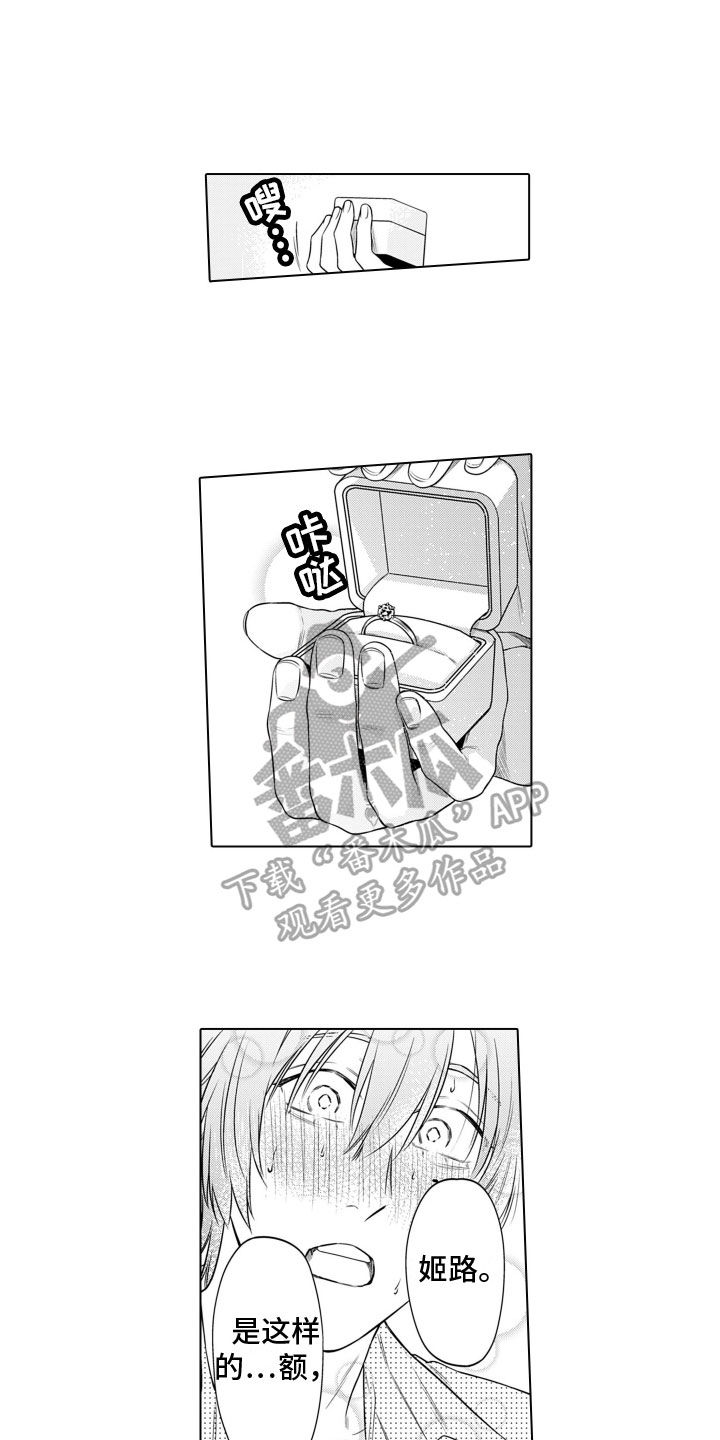 第13章：求婚10