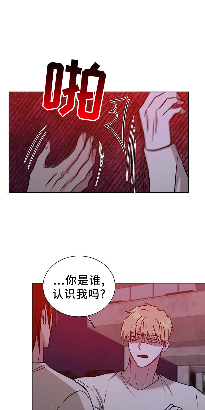 第48章：物以类聚8