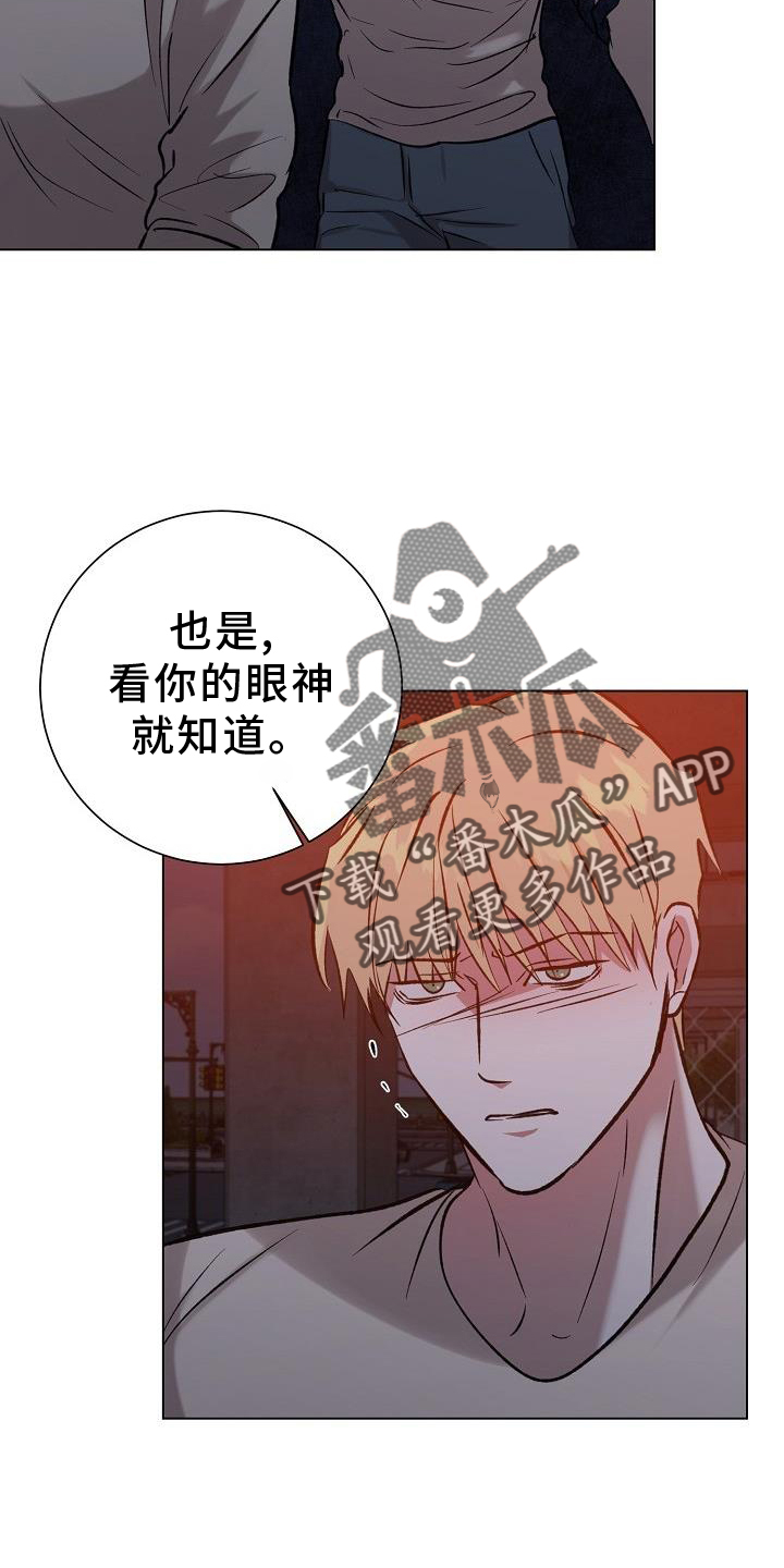 第52章：摧毁13