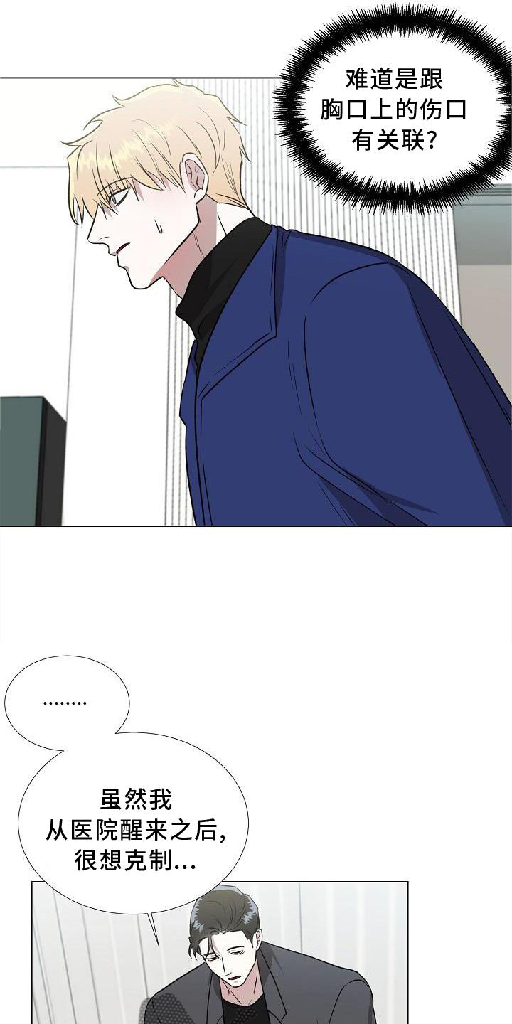第15章：解释17