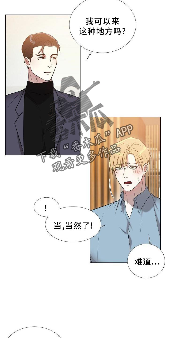第20章：替代品5