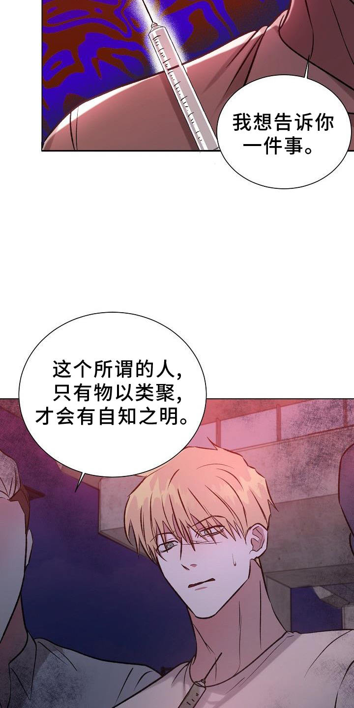 第48章：物以类聚20