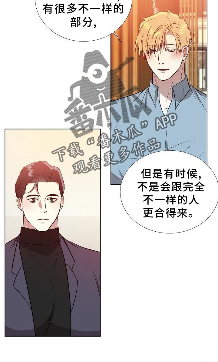 第20章：替代品21