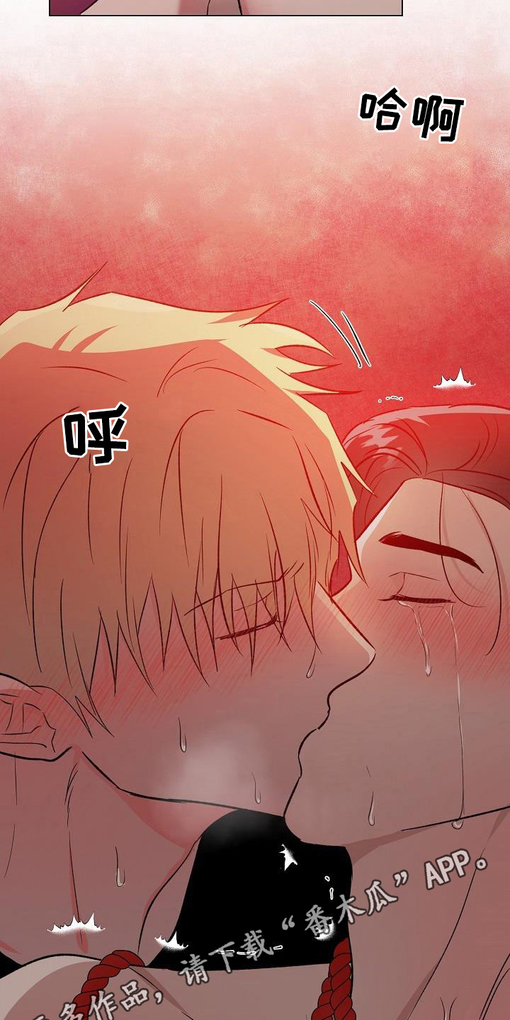 第29章：开心15
