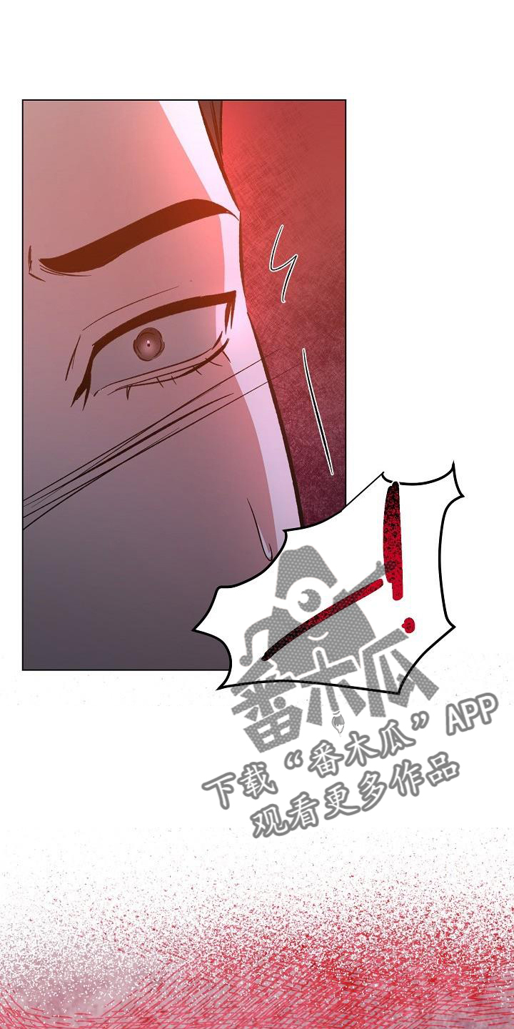 第54章：偷袭21