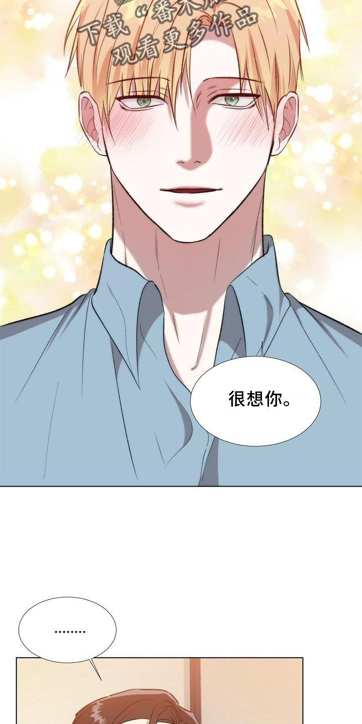 第20章：替代品9