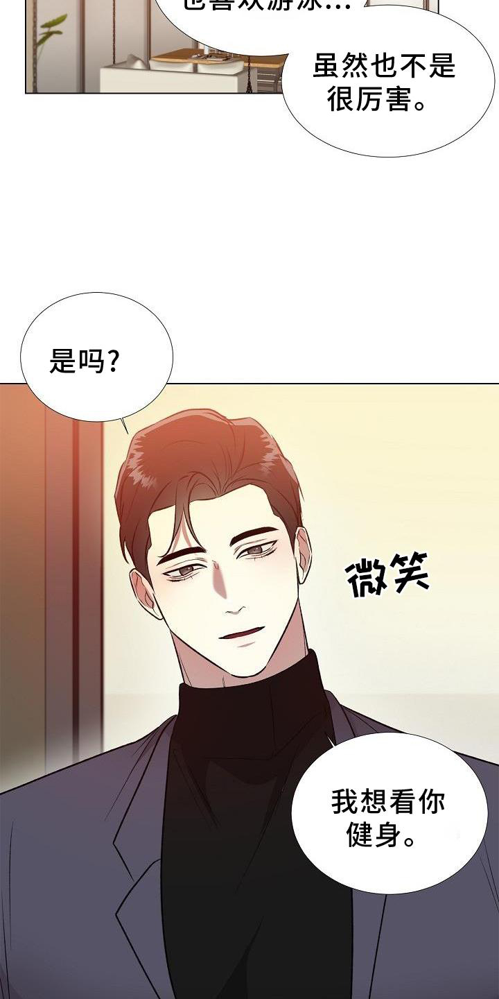 第20章：替代品17