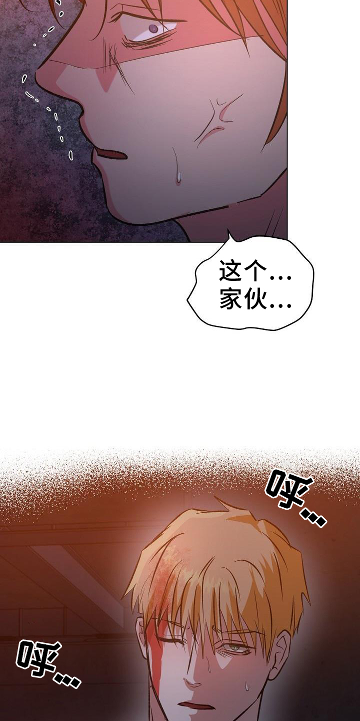 第54章：偷袭24