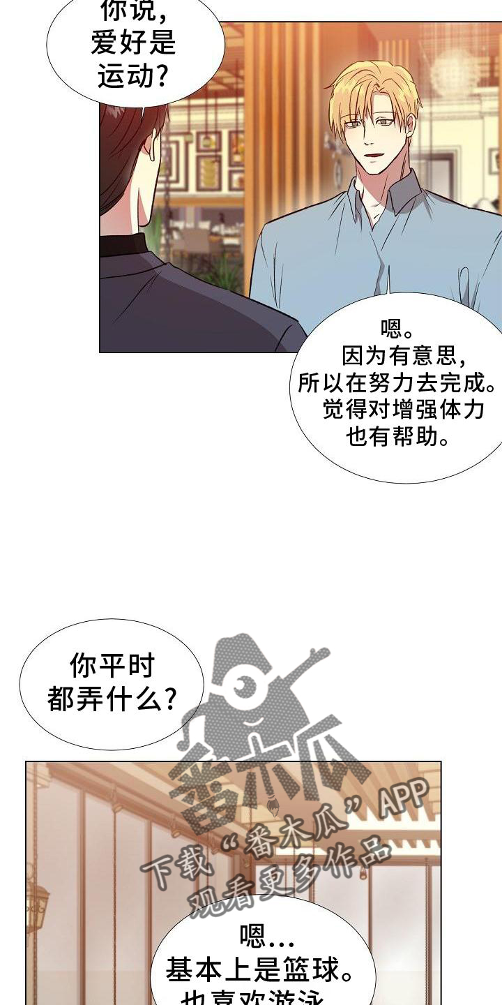 第20章：替代品16