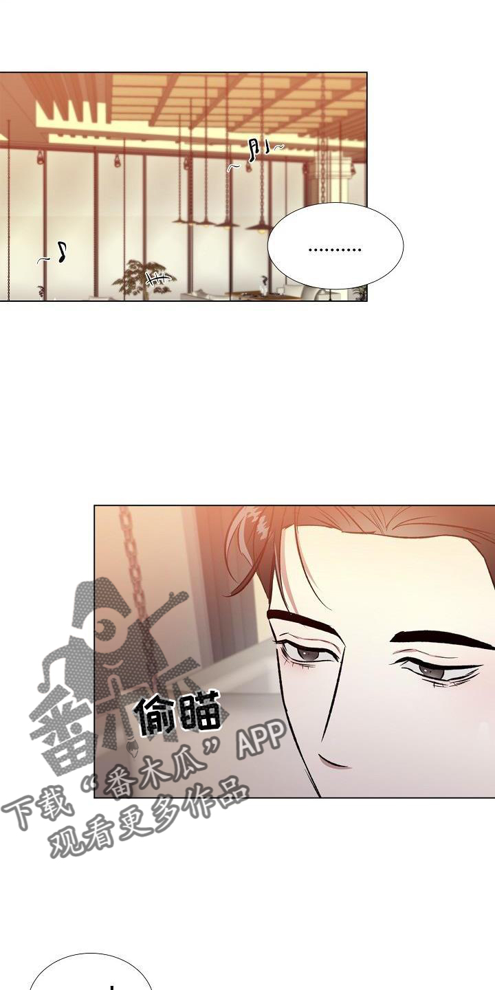 第21章：其他的12