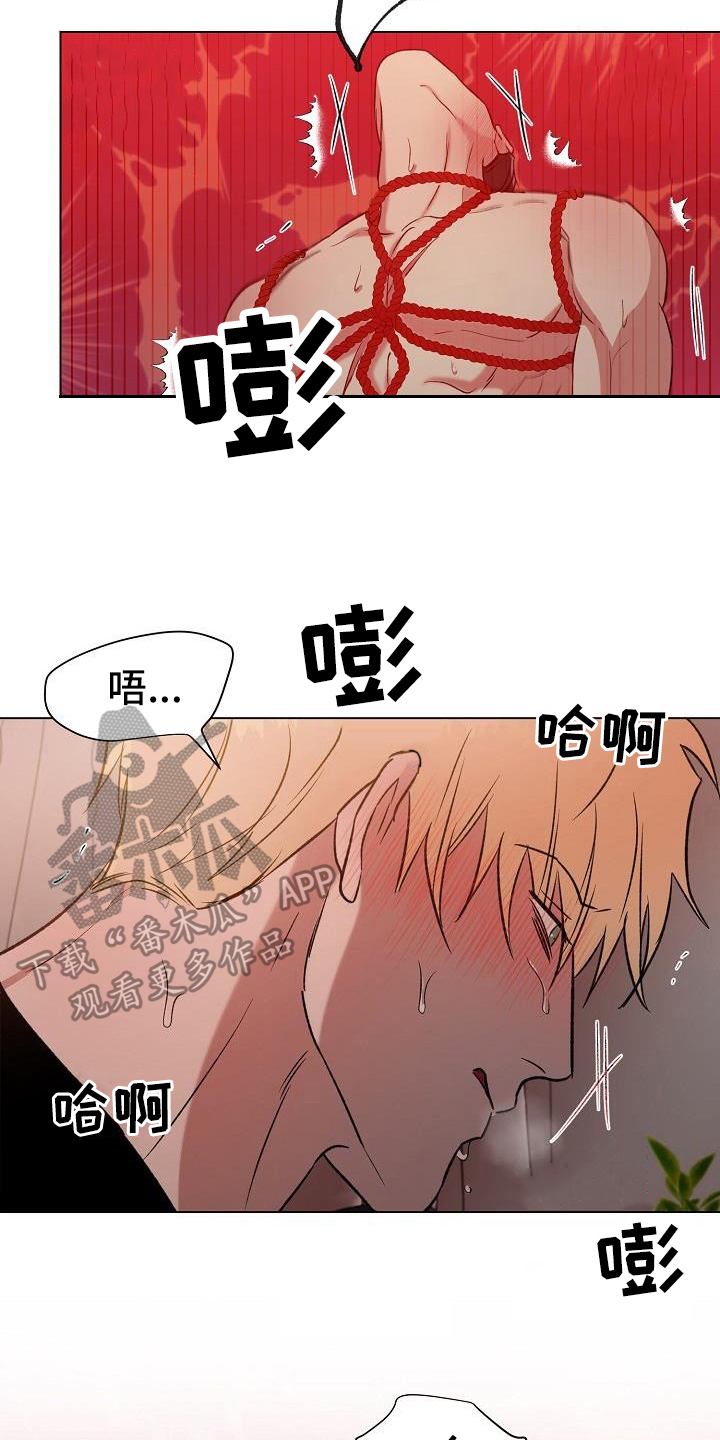 第29章：开心8