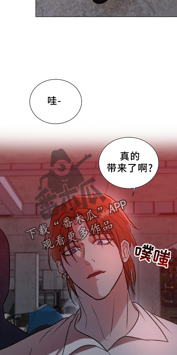 第48章：物以类聚1