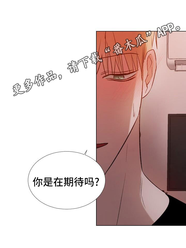 第28章：可以教训19