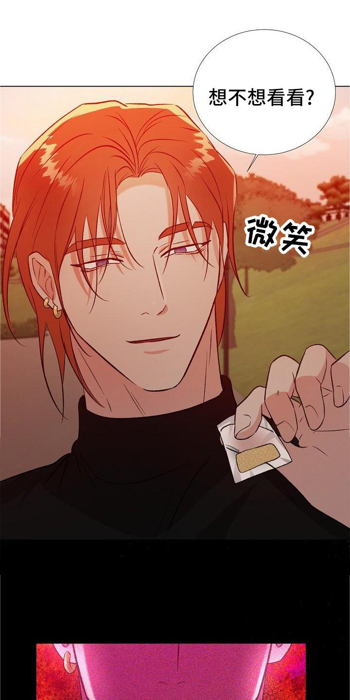 第31章：配合9