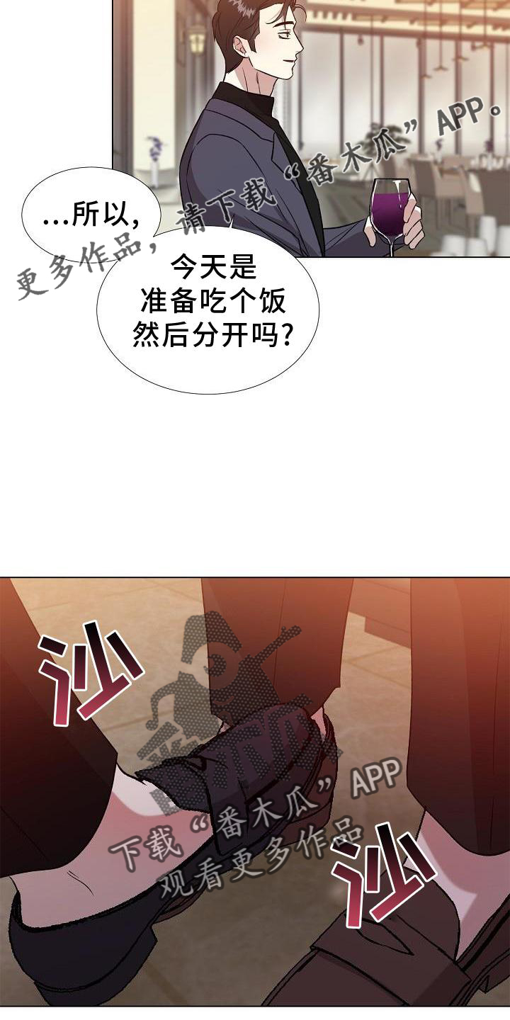 第20章：替代品11