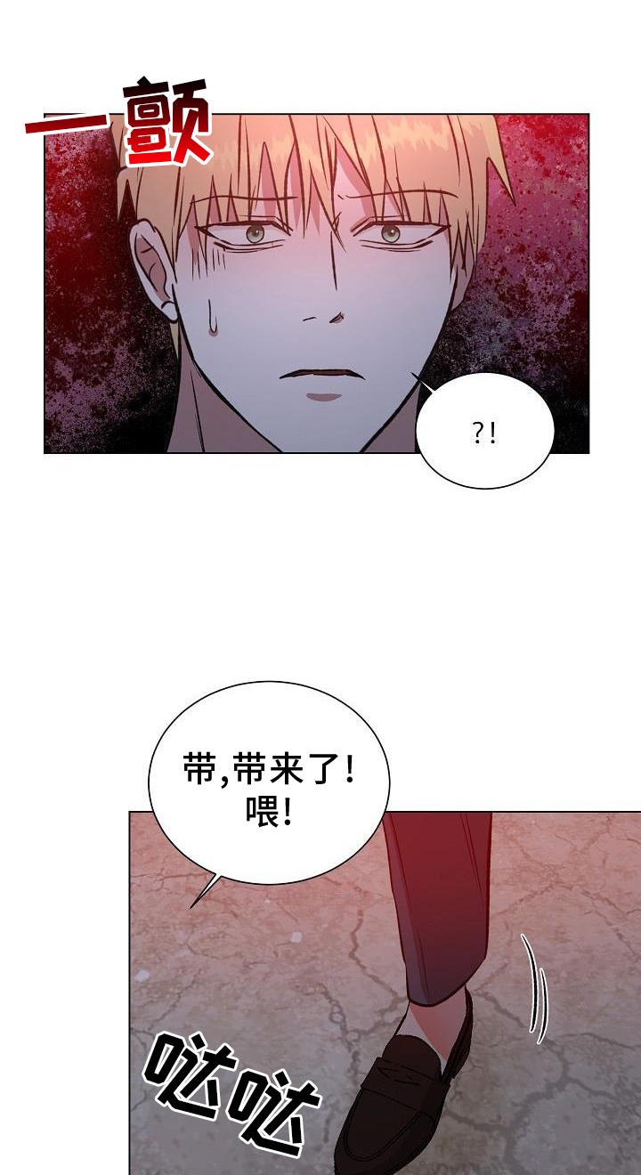第48章：物以类聚0