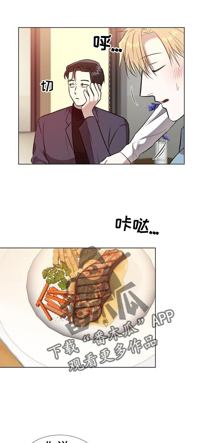第20章：替代品15