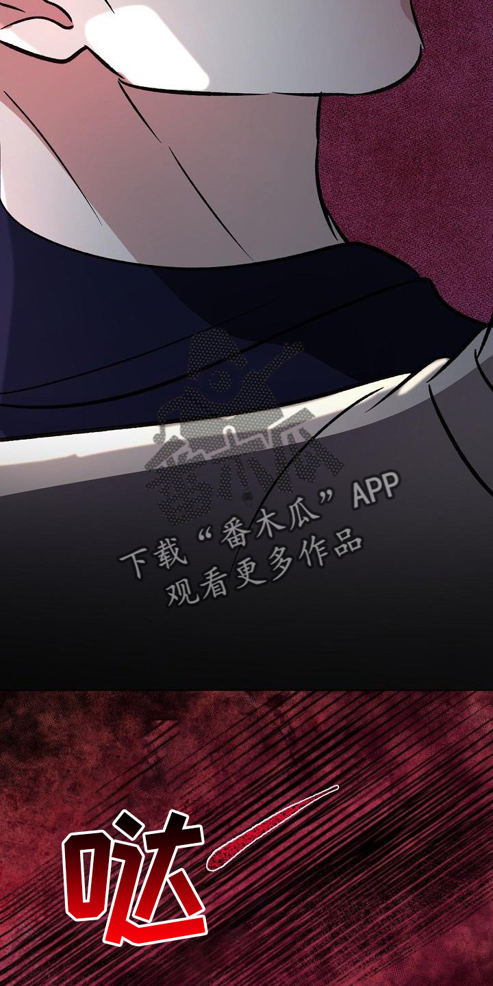 第54章：偷袭11