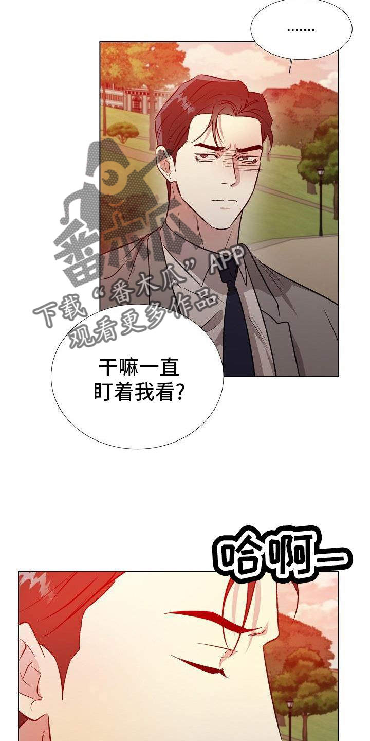 第31章：配合14