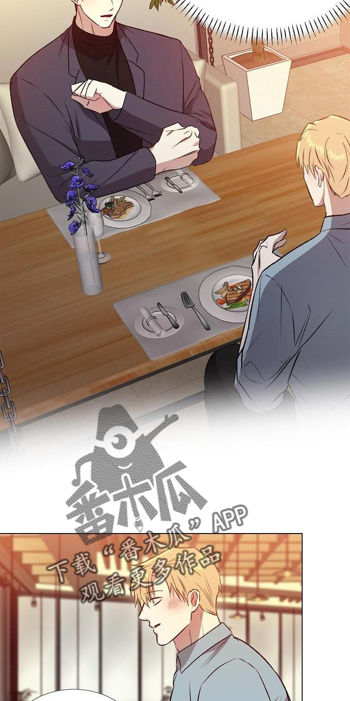 第20章：替代品19