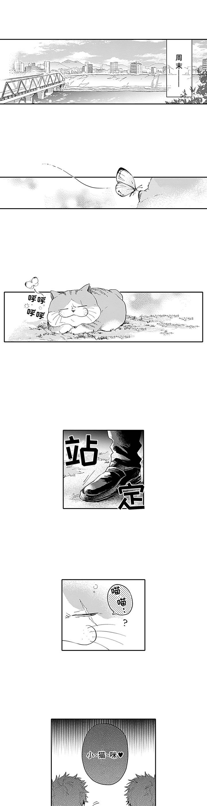 第14章：开打5