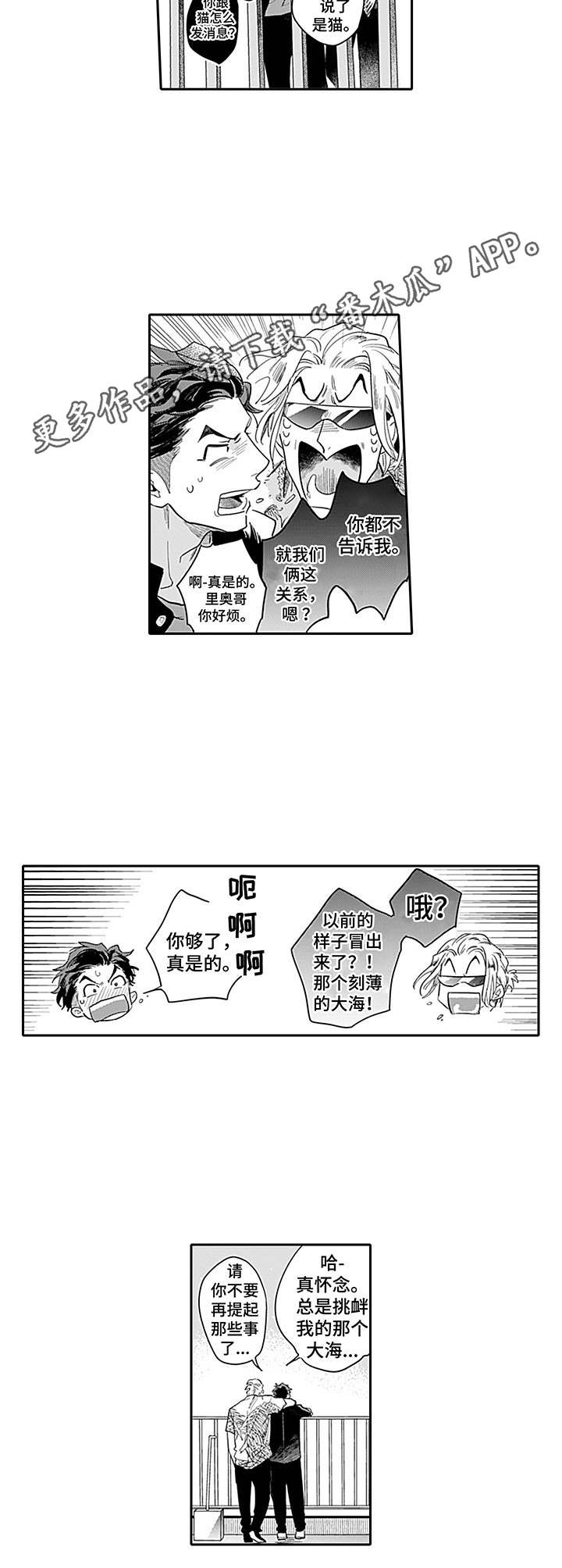第6章：反常5