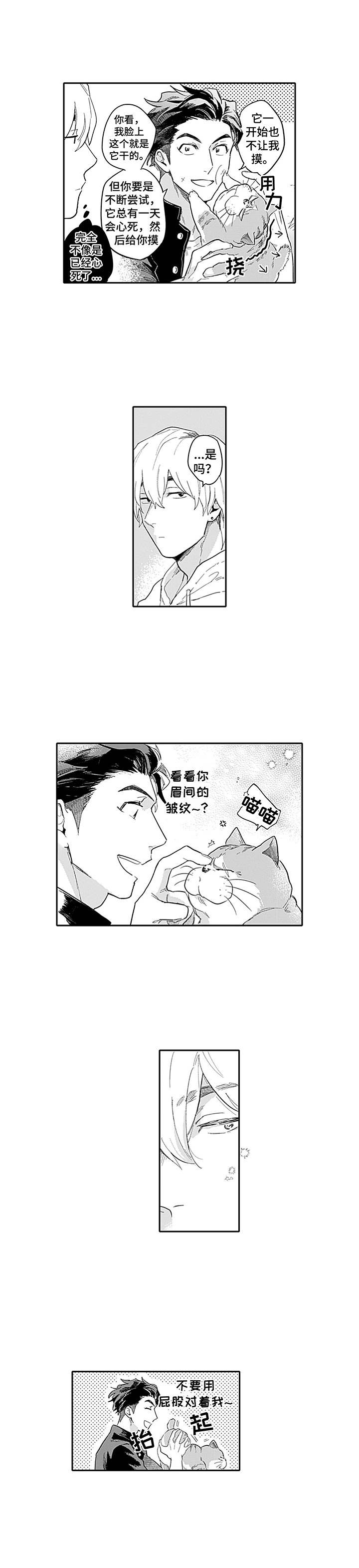 第2章：热情8