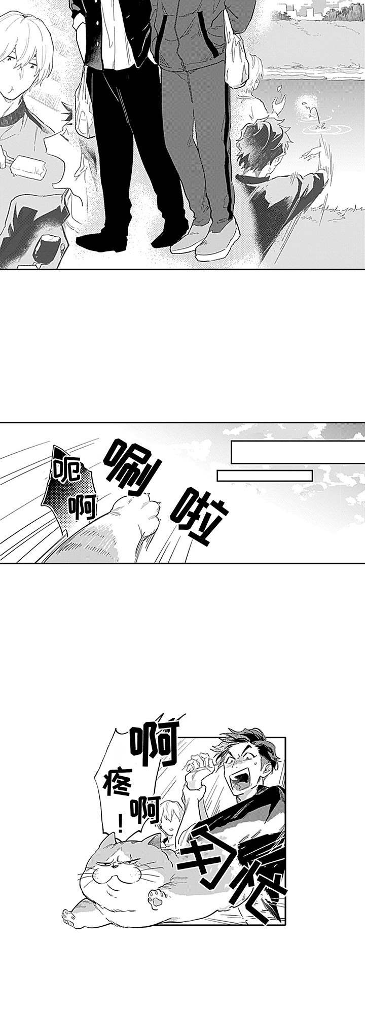 第5章：考虑一下7