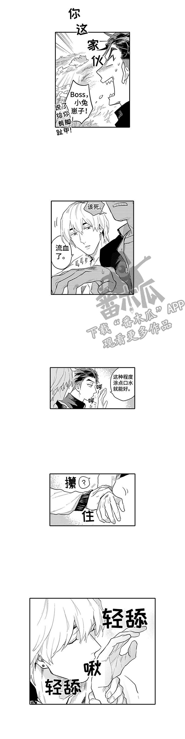 第5章：考虑一下8