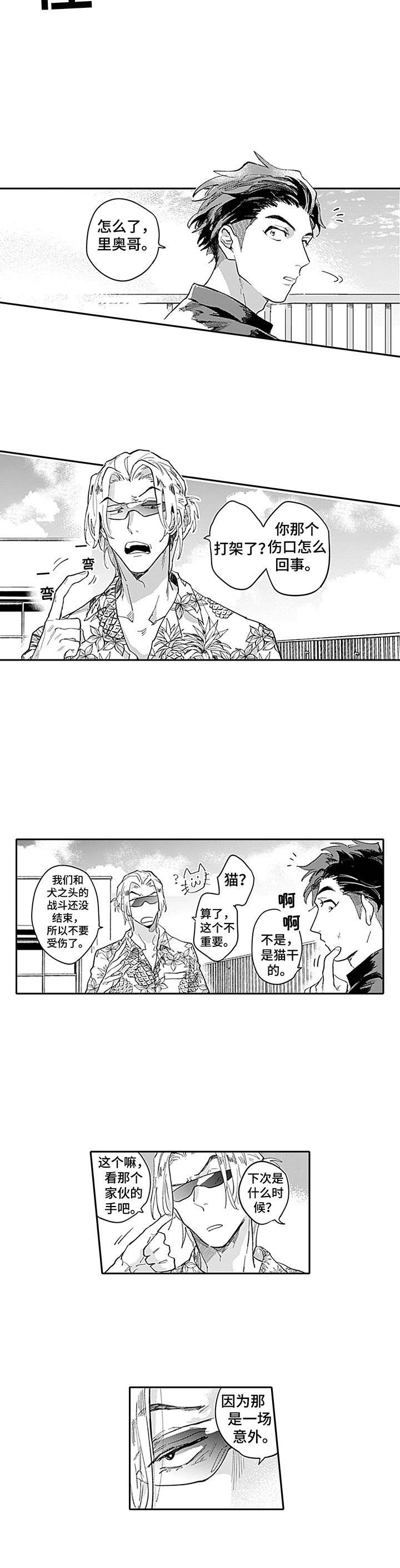 第3章：心动9