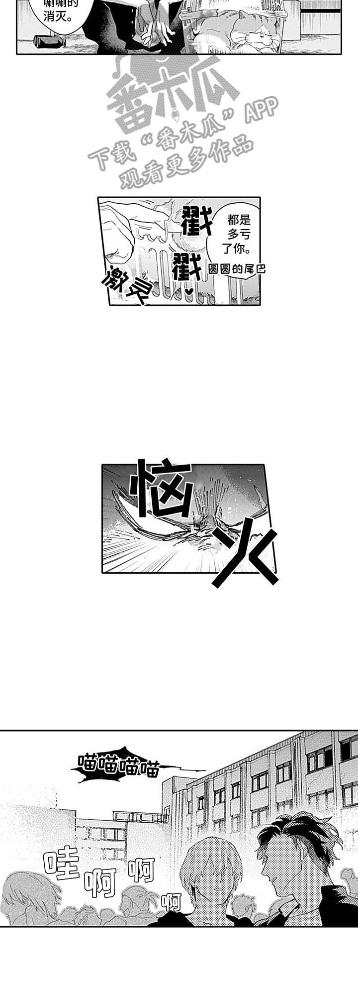 第15章：慌了8