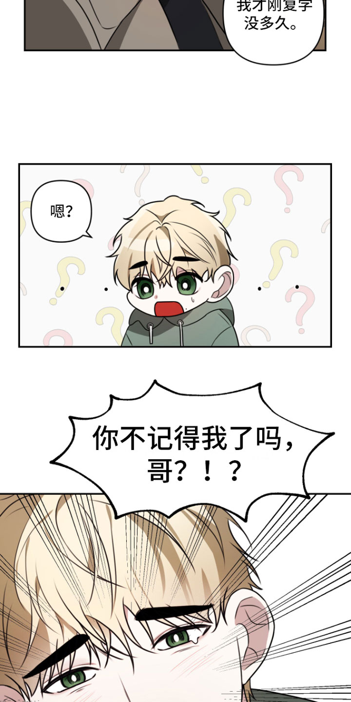 第1章：重逢6