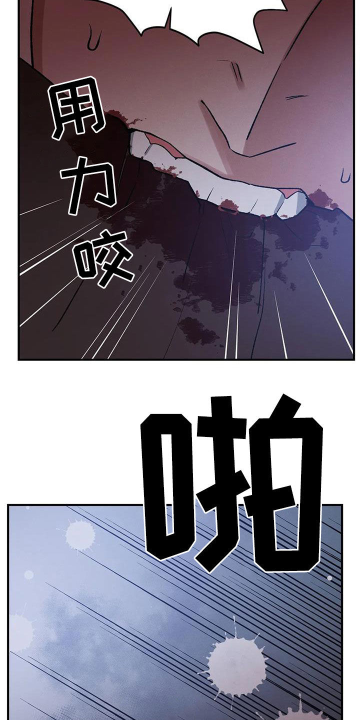 第19章：命运16