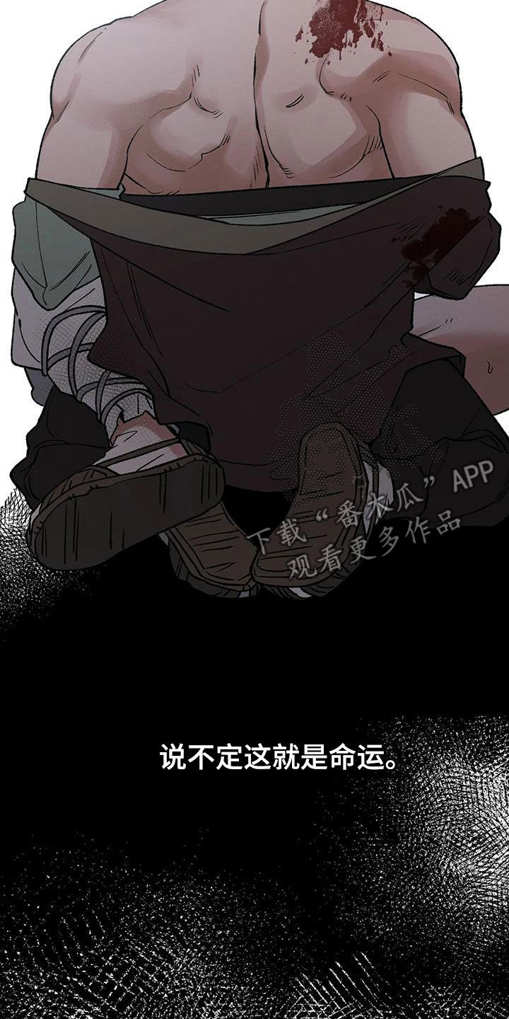 第19章：命运21