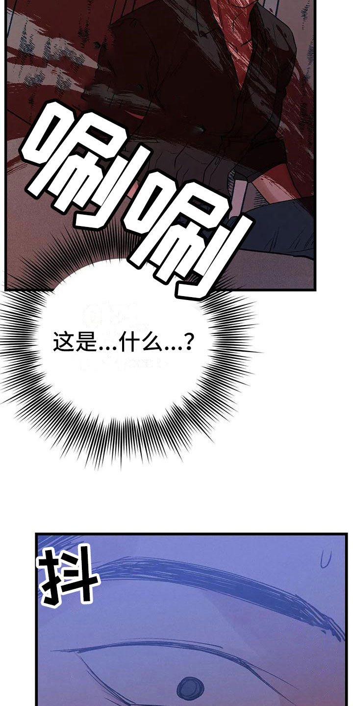 第11章：圣旨到19